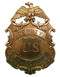Replika Odznaka przedstawiciela US Marshal 8,8cm złota